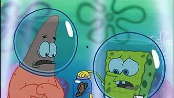 吃瓜娱乐如果星星不说话